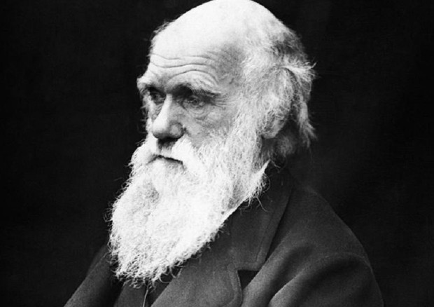 Charles Darwin (fonte: University of Tasmania) © Ansa