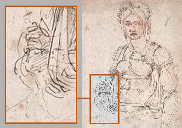 Scoperto autoritratto di Michelangelo in un disegno © ANSA