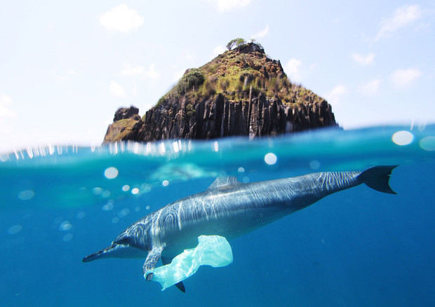 Tonnellate di plastica che vengono gettati ogni anno negli oceani (fonte: Jedimentat44) © Ansa