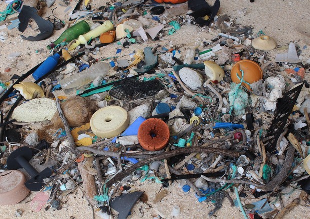 Plastica spiaggiata © EPA