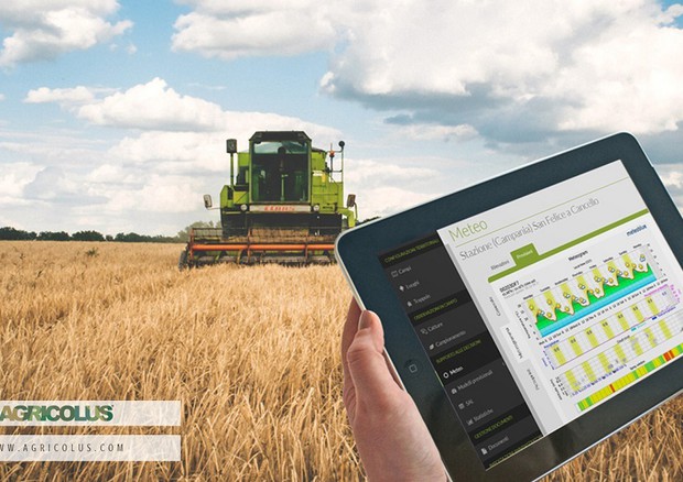 Un'app per agricoltura del futuro © ANSA
