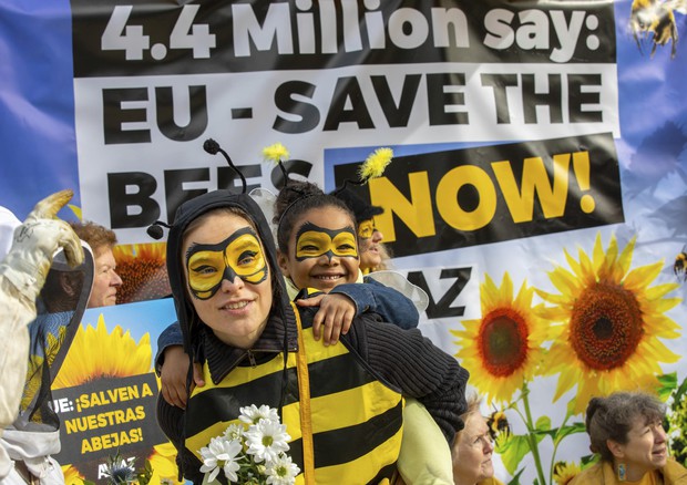 Da Ue stop a utilizzo pesticidi nocivi per api © AP