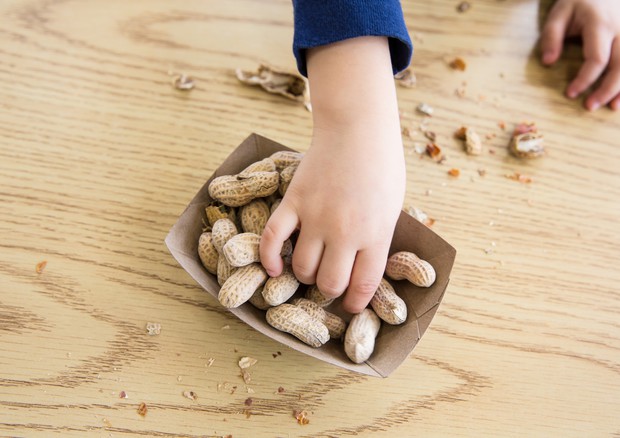 Le mani di un bambino che sta mangiando delle noccioline © Ansa