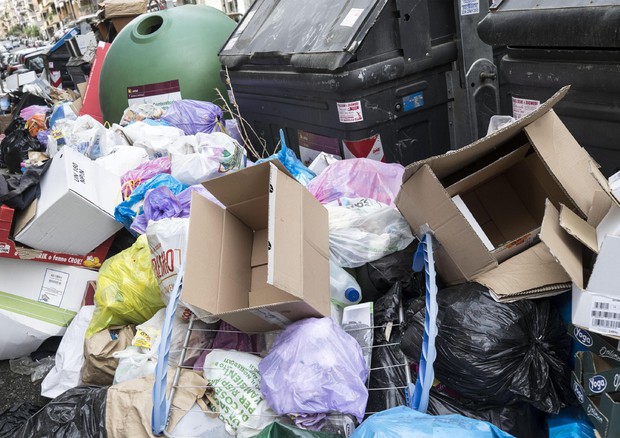 Accumulo di rifiuti a Roma © ANSA