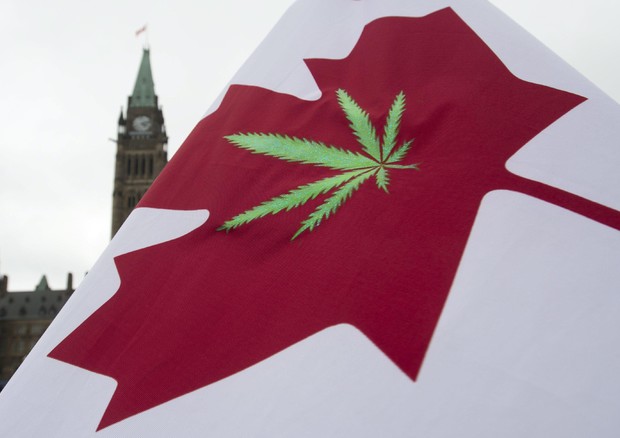 Sì Parlamento del Canada  a legalizzazione marijuana © AP