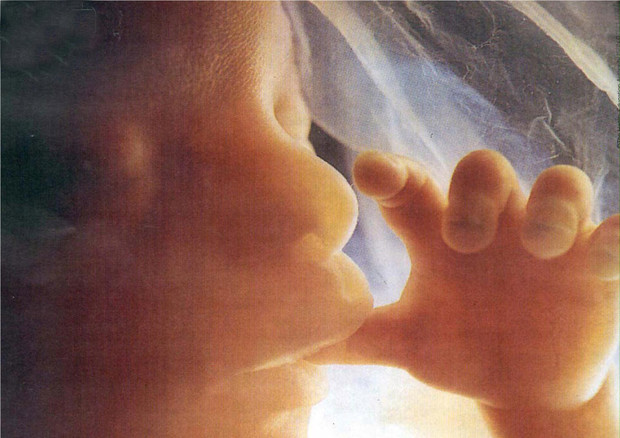 Trovate per la prima volta microplastiche nella placenta umana © ANSA 