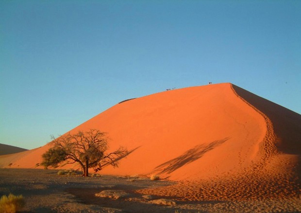 Dune nel deserto della Namibia © ANSA