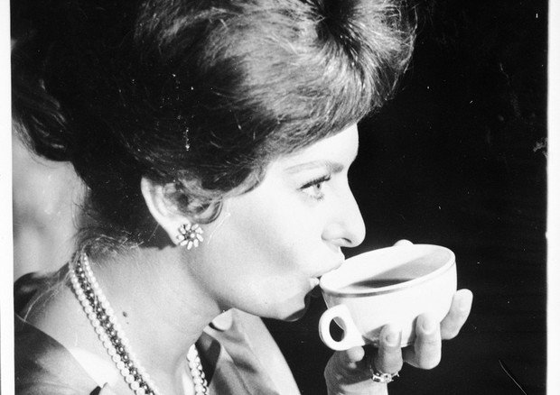 Sofia Loren in una foto di archivio mentre beve una tazza di tè © ANSA