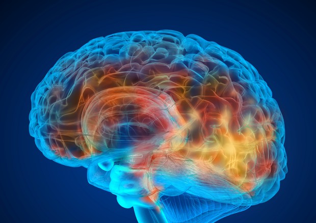 Terapia mirata migliora la sopravvivenza per tumore al cervello © Ansa