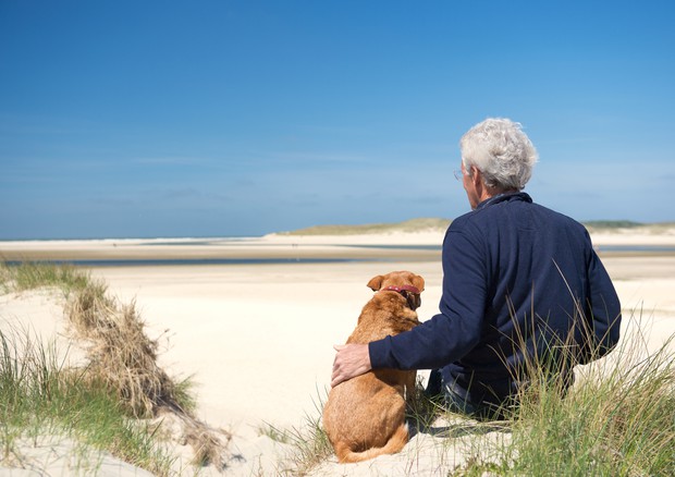 Per il cuore degli over 65 avere un cane è un toccasana - Stili di Vita -  ANSA.it