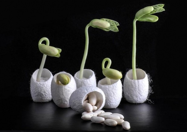 Un bozzolo di seta aiuta i semi a germogliare (fonte: MIT) © Ansa