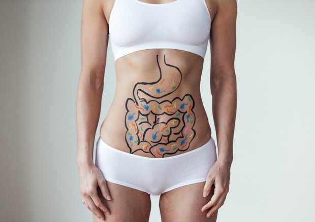 Una rappresentazione 'artistica' dell'intestino © Ansa