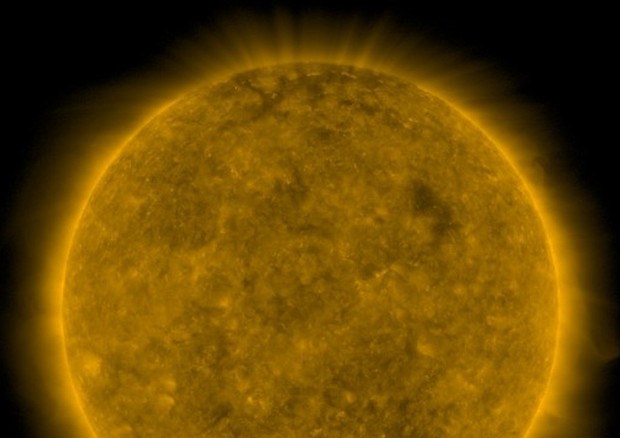 Il Sole in quiete, fotografato dal Solar Dynamics Observatory (Sdo) della Nasa (fonte: SDO/NASA) © Ansa