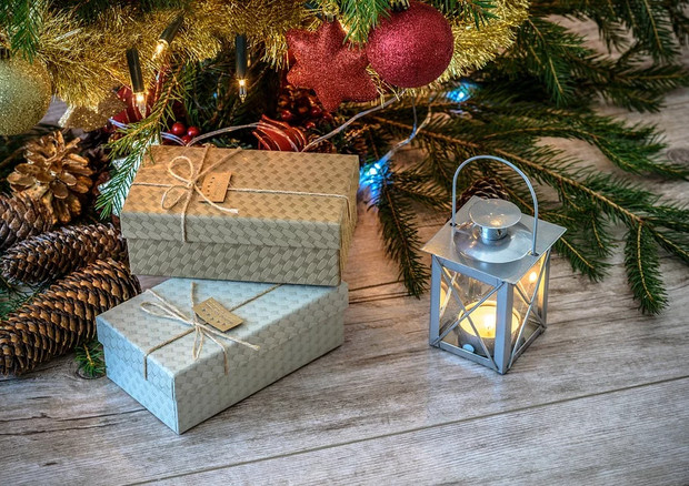 Natale: online 32% di spesa per regali e viaggi (fonte: Pixabay) © Ansa