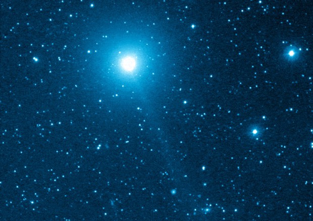 La cometa Iwamoto  (fonte: Michael Jäger) © Ansa