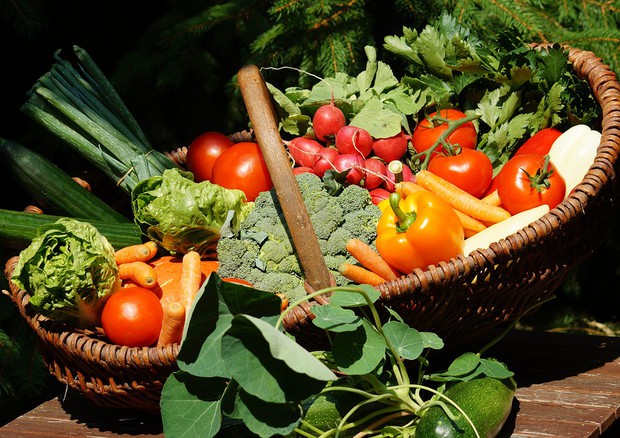 Verdure, ortaggi (fonte: Pixabay) © Ansa