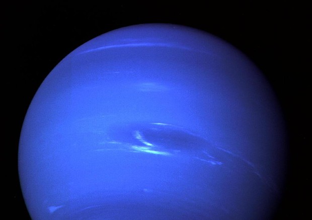 Nettuno (fonte: NASA/JPL) © Ansa