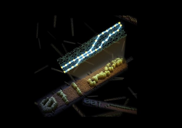 In alto il circuito fatto di Dna, in basso l'immagine ottenuta con il microscopio di un nastro di Fna auto-assemblato e sullo sfondo altre stringhe di codice fatte di Dna (fonte: Demin Liu and Damien Woods) © Ansa