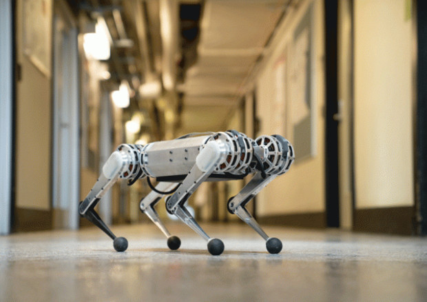 Il più agile dei robot, costruito al Mit (fonte: Bryce Vickmark) © Ansa