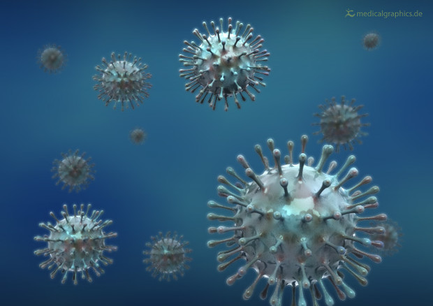 Particelle del virus dell'influenza (fonte: www.medicalgraphics.de) © Ansa
