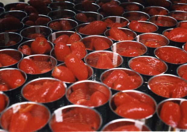 In 300 piazze torna il pomodoro buono di Fondazione Veronesi (foto Anicav) © ANSA