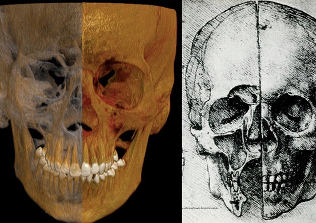 Immagine radiologica di un cranio visto frontalmente a confronto con un disegno di Leonardo da Vinci (fonte: Università di Milano) © Ansa