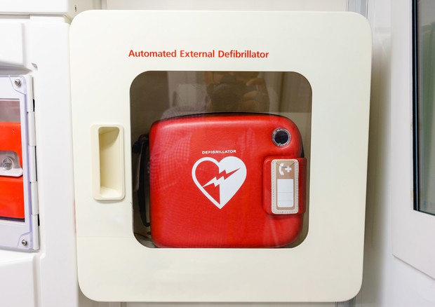 Presidente Sis 118, prevedere l'obbligo di defibrillatori a bordo degli aerei © Ansa
