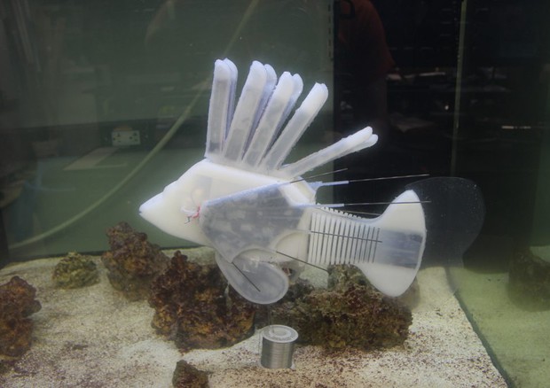 Il robot-pesce durante i test di laboratorio (fonte: James Pikul) © Ansa