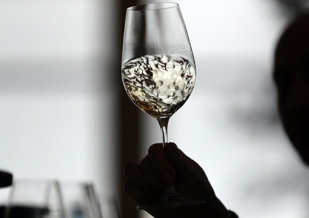 Vino: l'Italia ha il suo primo Master of Wine © ANSA