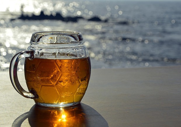 Birra con acqua di mare (fonte: Pixabay) © Ansa