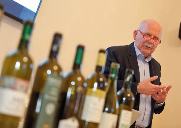 Alberto Mazzoni, direttore dell'Istituto marchigiano di tutela vini (Imt) © ANSA