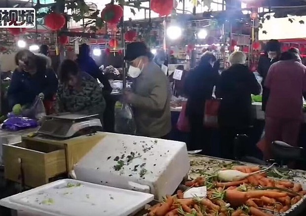 Il mercato del pesce di Wuhan, focolaio dell'epidemia del coronavirus (fonte: China News Service) © Ansa