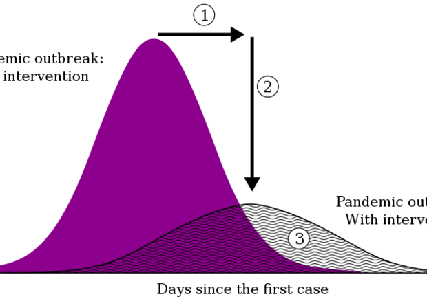Rappresentazione schematica di una curva pandemica (fonte: Gufosowa) © Ansa