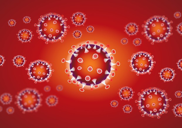 Rappresentazione grafica di particelle di nuovor coronavirus (fonte: iXimus/Pixabay) © Ansa