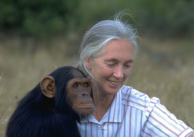 L'etologa Jane Goodall © Ansa