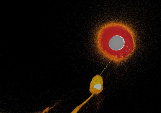 Dettaglio della simulazione dello scontro tra la Terra primordiale e un corpo celeste simile a Marte, che circa 4,5 miliardi di anni fa ha dato origine alla Luna. (fonte: Sergio Ruiz-Bonilla) © Ansa