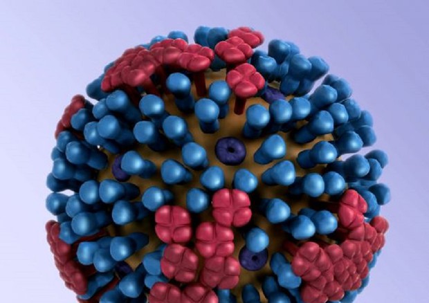 Rappresentazione grafica della superficie di un virus dell'influenza. In azzurro l'emoagglutinina, proteina bersaglio del vaccino (fonte: Pixnio) © Ansa