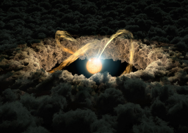 Rappresentazione artistica di un disco protoplanetario (fonte: NASA/JPL-Caltech) © Ansa