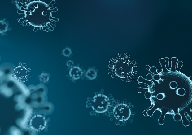Rappresentazione grafica di un coronavirus (fonte: mattthewafflecat, Pixabay) © Ansa