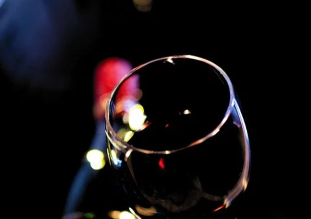 Fiere: a Marca 2021 ci sarà un'area dedicata al Vino (Pixabay) © Ansa