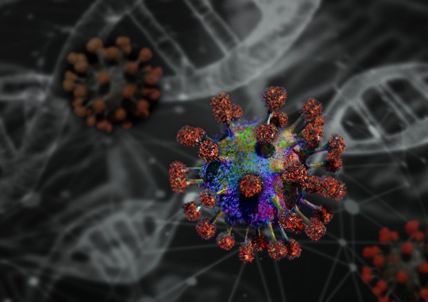 Rappresentazione artistica del coronavirus (fonte: Pixabay) © Ansa