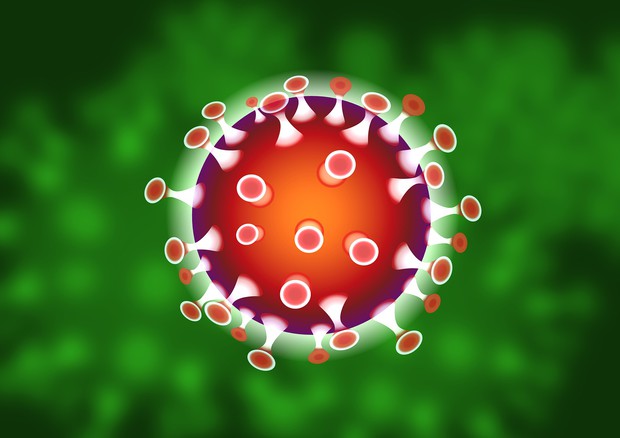 Rappresentazione grafica di un coronavirus (fonte: iXimus, Pixabay) © Ansa