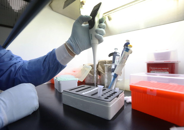 Terza dose: Palù, fare prima test per anticorpi non serve © EPA