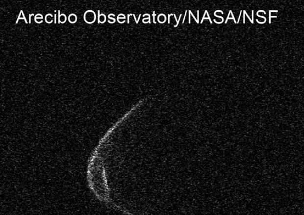 L'asteroide 1998 OR2 fotografato all'osservatorio di Arecibo il 18 aprile 2020 (fonte: Arecibo Observatory/NASA/NSF) © Ansa
