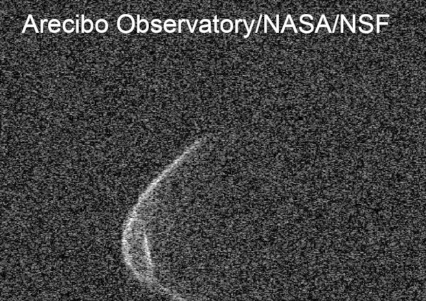 L'asteroide 1998 OR2 sembra indossare la mascherina per il suo incontro con la Terra (fonte: Osservatorio di Arecibo) © Ansa