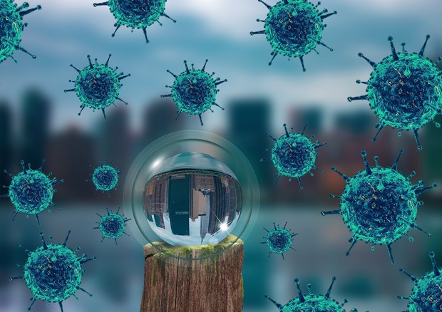 Le principali tappe della pandemia di Covid-19 nel 2020 (fonte: Fernando Zhiminaicela da Pixabay) © Ansa