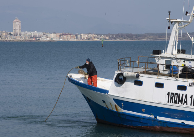 Federpesca, il mare è leva di sviluppo, sì a un ministero dedicato © ANSA