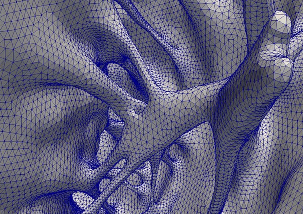 Rappresentazione geometrica del ventricolo sinistro (fonte: M. Fedele, Politecnico di Milano) © Ansa