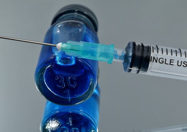 Prosegue a grandi passi la corsa verso il vaccino anti Covid-19 (fonte: Pixnio) © Ansa