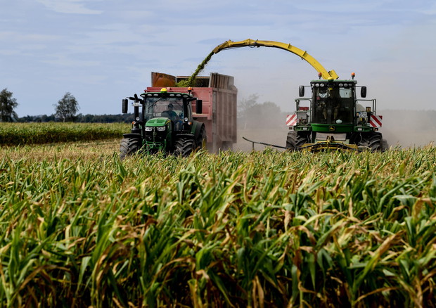 Agricoltura: fondo garanzia sfiora 400 milioni di finanziamenti © EPA